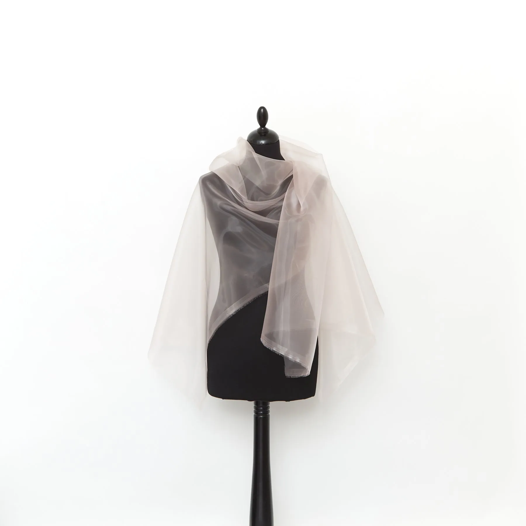 T23V05954 | Technical Liquid Organza